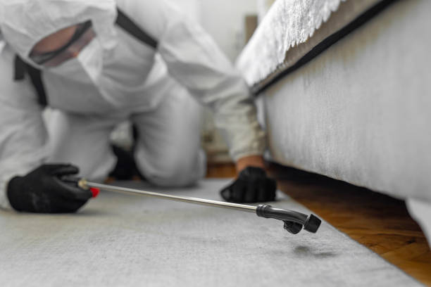Professional Bed Bug Control technician working in Fordoche, LA