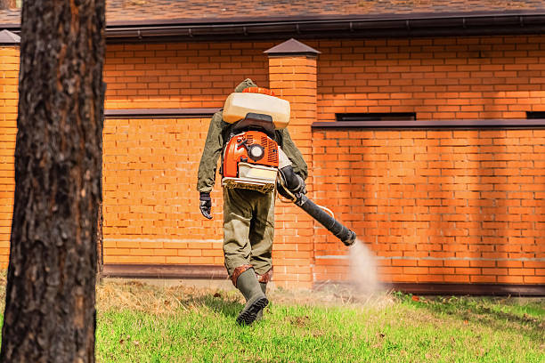 Trusted Emergency Pest Control service in Fordoche, LA - Nex Pest Control